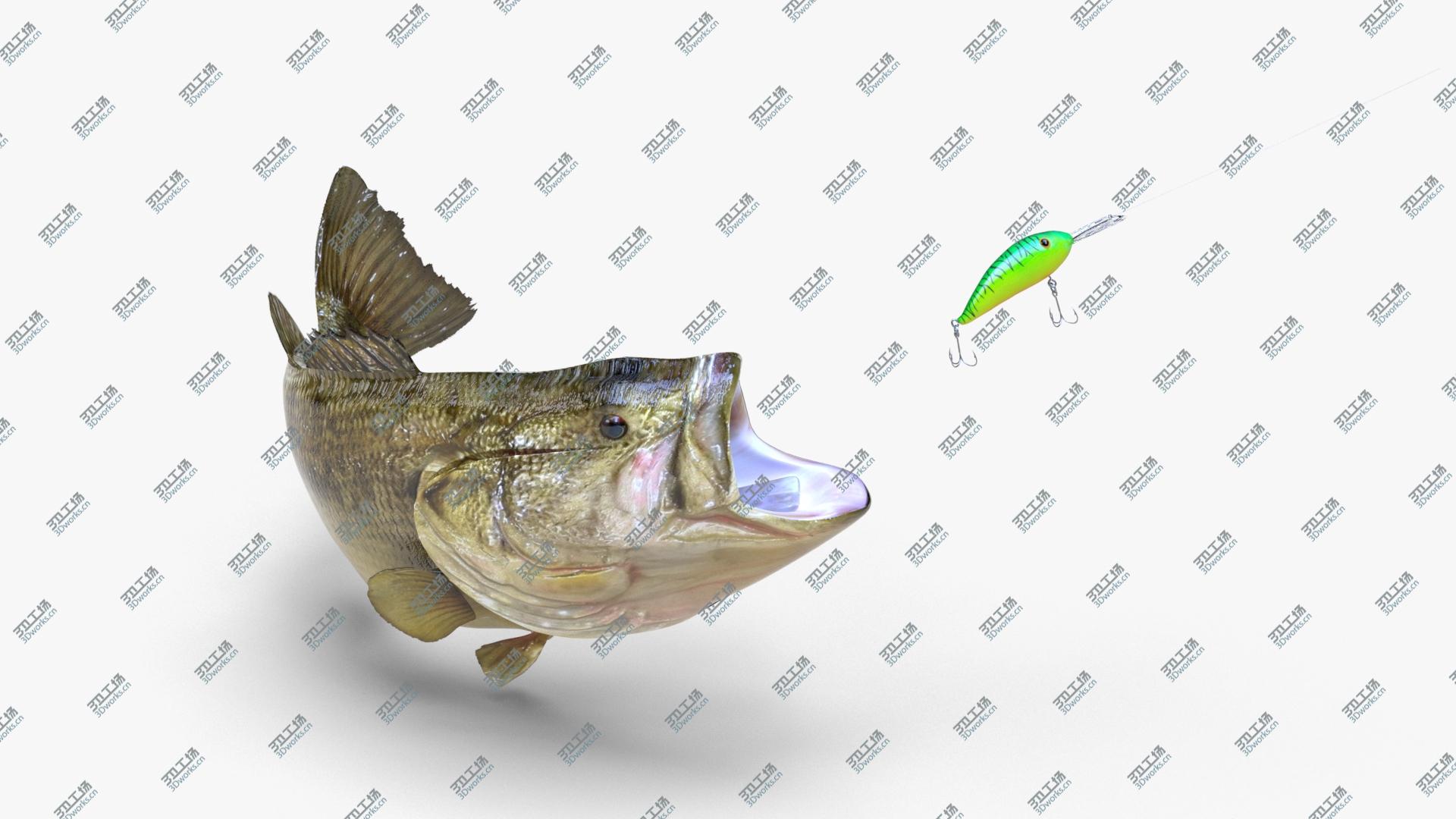 images/goods_img/202104092/3D model Fish Collection Vol2/2.jpg